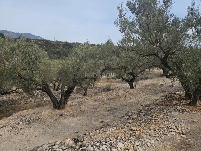 Foto 9778d356-72e3-4899-ac8a-82b66490d238. Finca rústica terreno agrícola con una pequeña casa en Roquetes