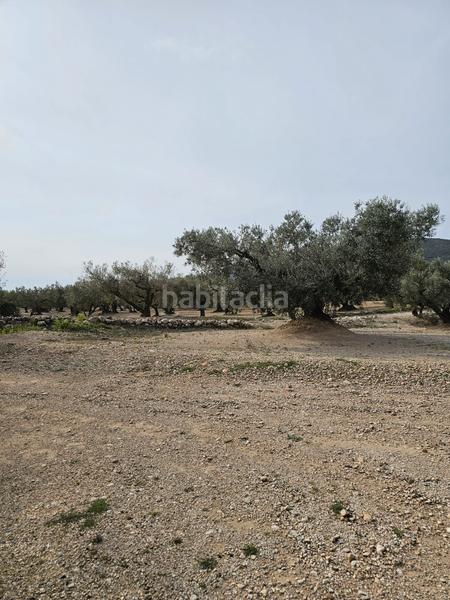 Foto a3c22d15-e389-48c1-88e6-643821dc7179. Finca rústica terreno agrícola con una pequeña casa en Roquetes
