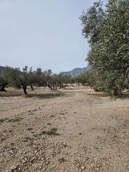 Foto c4fa2f00-583f-4ccd-8ed4-a77aae505d5c. Finca rústica terreno agrícola con una pequeña casa en Roquetes
