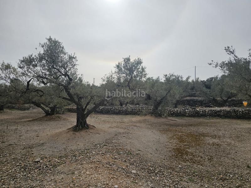 Foto e3b8411f-1ae3-4924-ac98-e29b0bb80d88. Finca rústica terreno agrícola con una pequeña casa en Roquetes