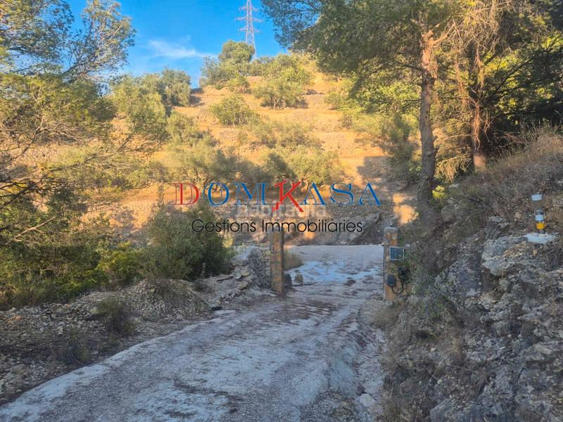 Foto 460e5106-c9c1-42e3-a86d-69ca655969e8. Rural plot in Urbanitzacions Tortosa