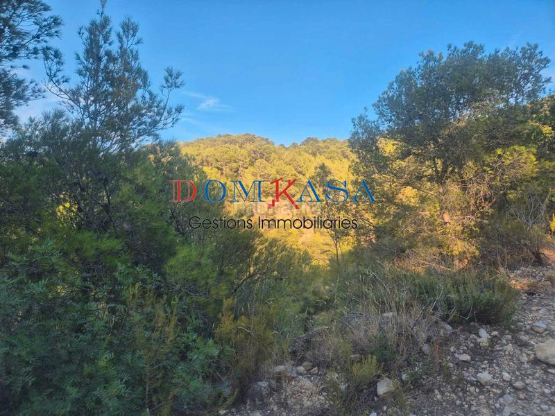 Foto f75d938e-b1ab-4d08-8011-4ba47d24bb1b. Rural plot in Urbanitzacions Tortosa