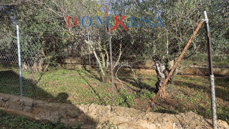 Foto 1eb6b7e9-94f4-497d-9477-6d6f104d25e6. Xalet a Roquetes