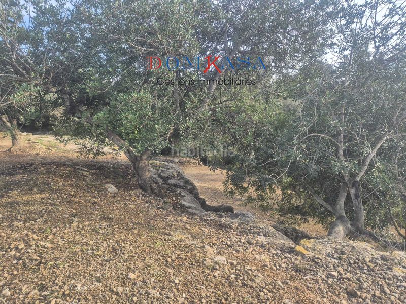 Foto ad8ef345-7544-4843-9f85-9fa647e7c5d9. Finca rústica a Jesús - Els Reguers Tortosa