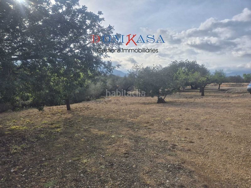 Foto d1df5859-7138-43e6-ba03-e948a6f5434c. Finca rústica a Jesús - Els Reguers Tortosa