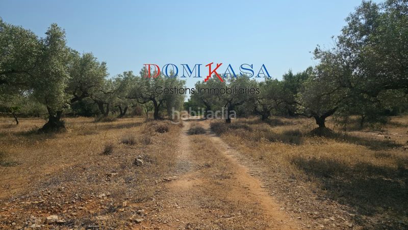Foto 3d2d98f1-ec24-4b52-92a9-a1a2e5f582d7. Finca rústica a Camarles
