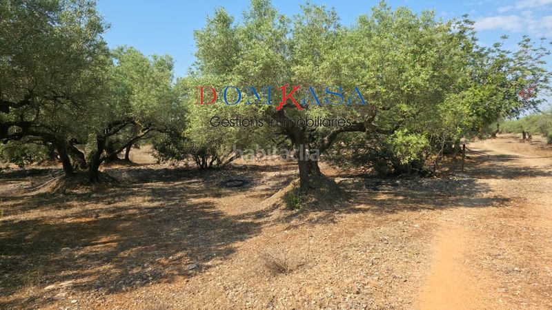 Foto 60f34e3b-c1a6-4188-aee8-62a788700572. Finca rústica a Camarles