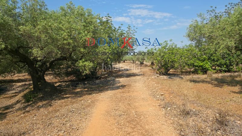Foto 76dfe6b6-a44e-4b3f-94e9-8d62f3b72d60. Finca rústica a Camarles