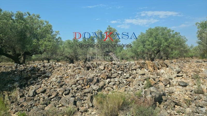 Foto a3f2bb7b-02bd-40b2-a13b-42acb853cc90. Finca rústica a Camarles