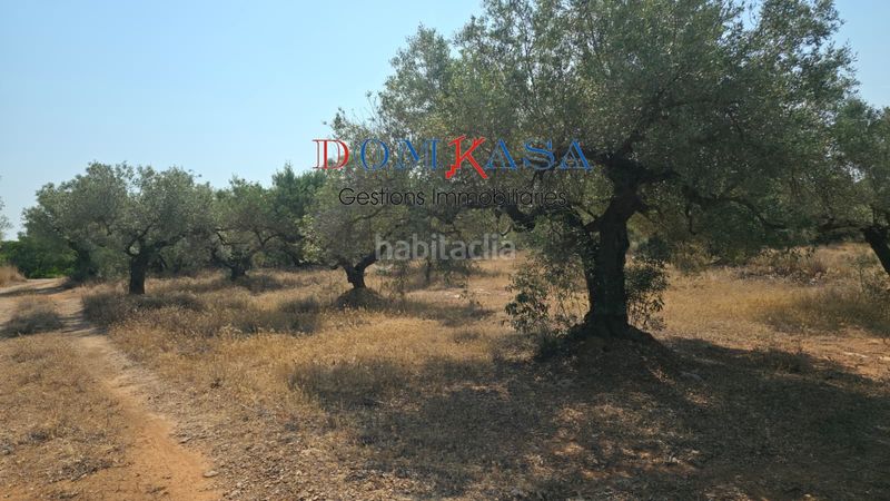 Foto a7793256-d2fc-4cb0-b6bc-24646b110c30. Finca rústica a Camarles