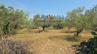 Finca rústica a Camarles
