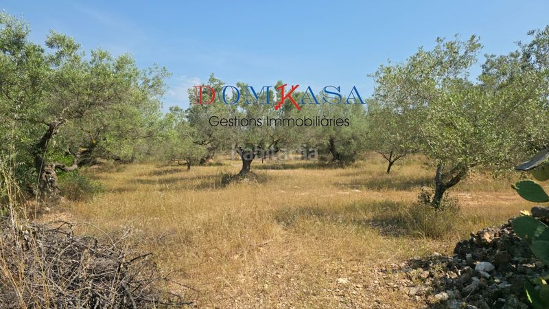 Foto f0faa3a2-32cf-429f-a708-d733a45e527f. Finca rústica a Camarles