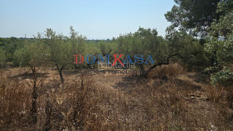 Foto 0972628d-704c-4a48-96c7-9555bf308360. Finca rústica a Camarles