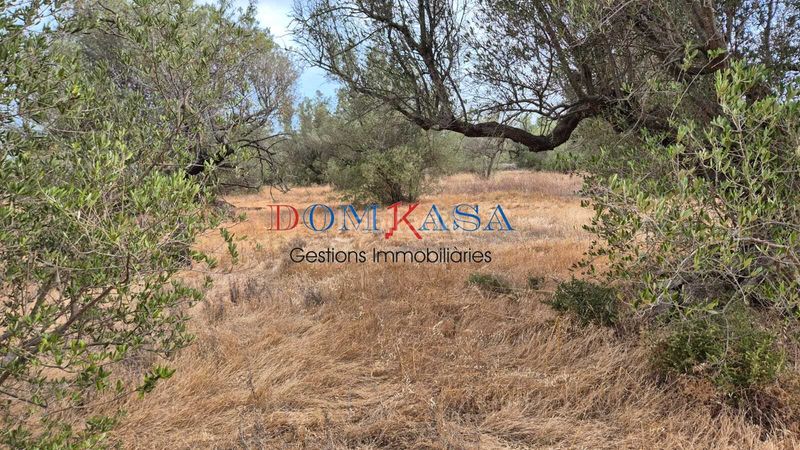 Foto 6c0a261c-cd54-4c20-a605-2375ff222b11. Finca rústica a Roquetes