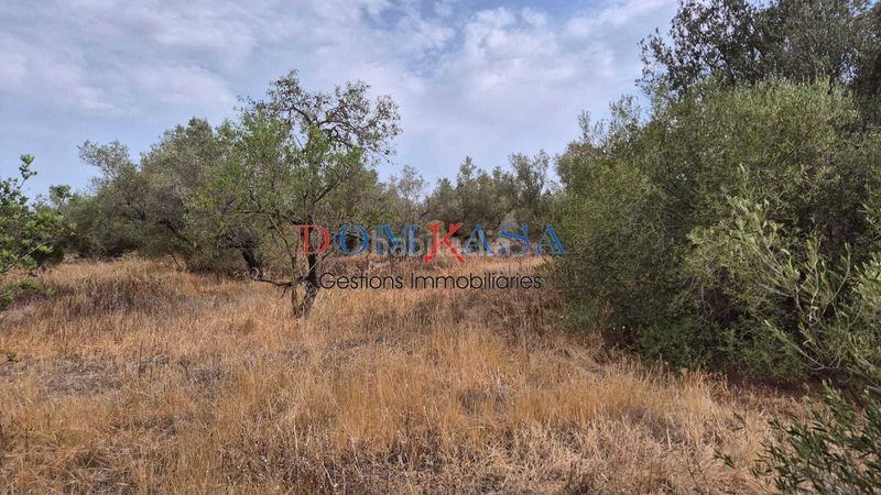 Foto 6f5f2931-fbd4-472b-addc-e628c3f276f5. Finca rústica a Roquetes