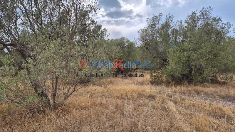 Foto badda2c4-4aa9-402c-9876-f8f64f0ce178. Finca rústica a Roquetes