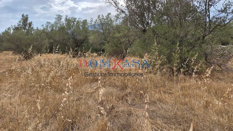 Foto ec50dd9e-9442-42bd-953f-c83aa611c90f. Finca rústica a Roquetes