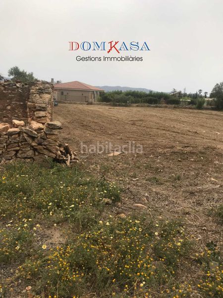Foto d34d6891-9321-459c-a767-43eabe1e013d. Finca rústica a Jesús - Els Reguers Tortosa