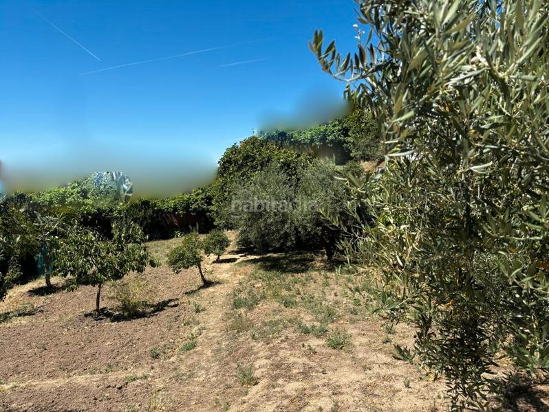 Foto 6ea6209c-a950-42b7-8c22-4cb9c6f14e86. Terreno residenziale in Serranillos del Valle