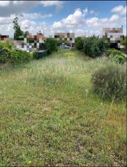 Terreno residencial en Carranque