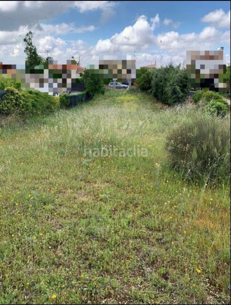 Foto f23cc45b-41b3-4a1f-9649-68e7b3b48e72. Terreny residencial a Carranque