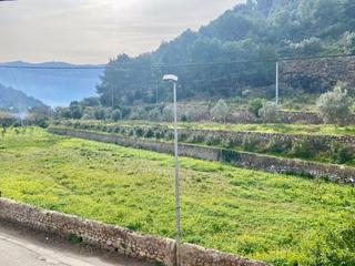 Haus in Sóller. Encantadora finca mallorquina con dos casas y 11.000 m2 de parce