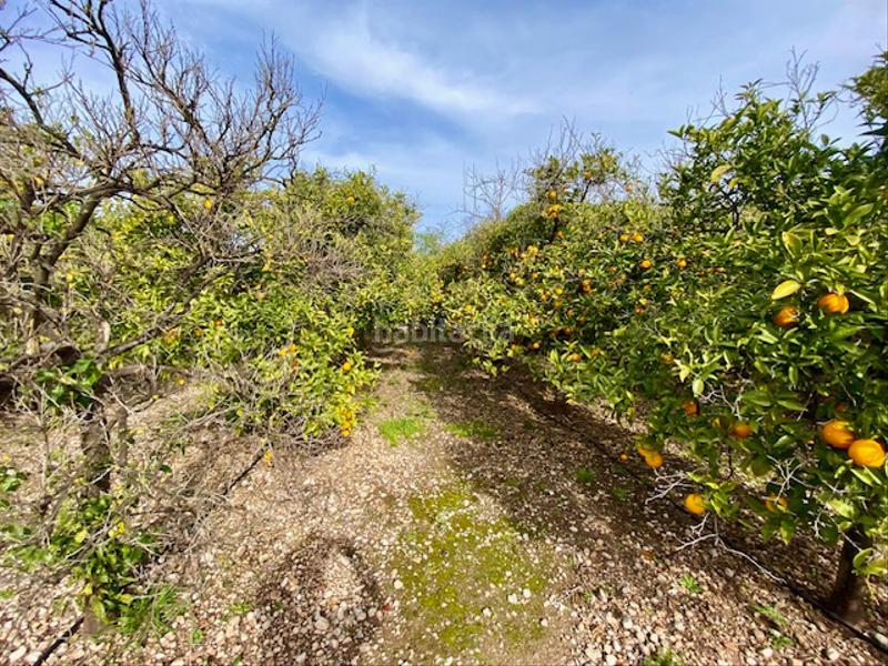 Foto 77f6614c-ac69-4d06-a4b0-35720e02571d. Casa amb xemeneia aparcament piscina a Sóller
