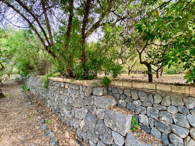 Foto a640d987-584e-4887-a31e-c99a97ab4852. Casa amb xemeneia aparcament piscina a Sóller