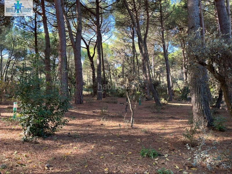 Foto 9e4c5276-111e-4413-b6d0-eb4624ce41fe. Wohngrundstück in Pedanías - Extrarradio Albacete