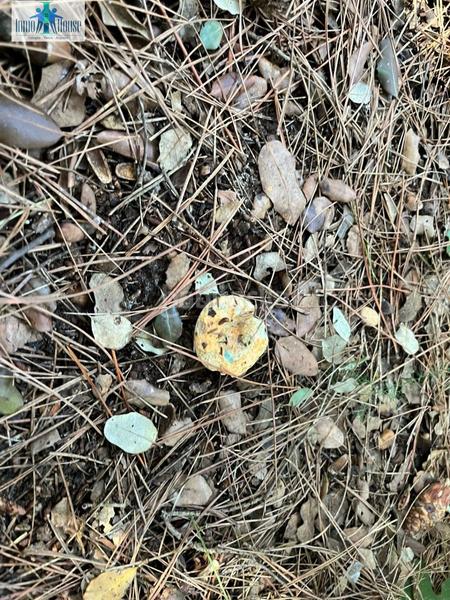 Foto cb058464-b513-431c-b6ca-05f722ca1f1c. Wohngrundstück in Pedanías - Extrarradio Albacete