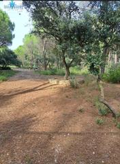Terreny residencial a Pedanías - Extrarradio. M045 se vende terreno urbano en la urbanizacion los pinares