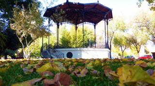 Local Comercial a Industria