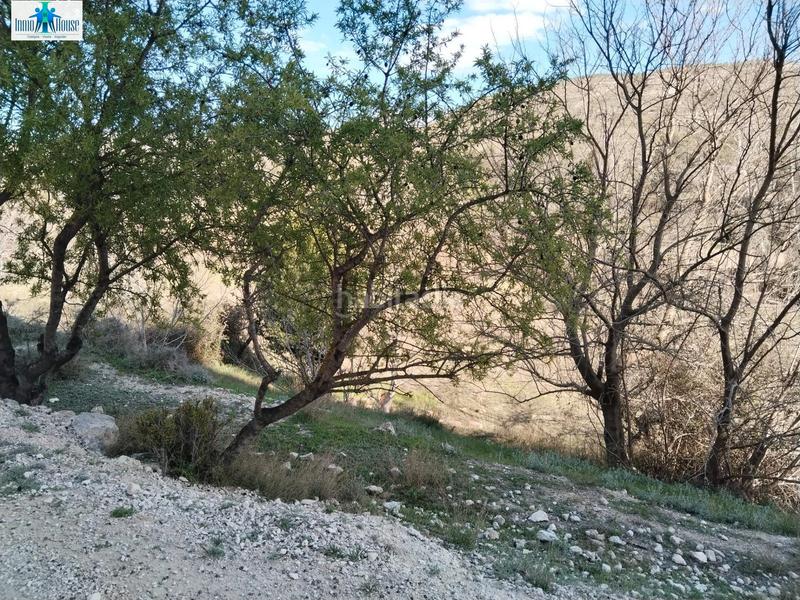 Foto efd452d0-9993-4c52-9322-3e78deaafe61. Masia a Alcalá del Júcar