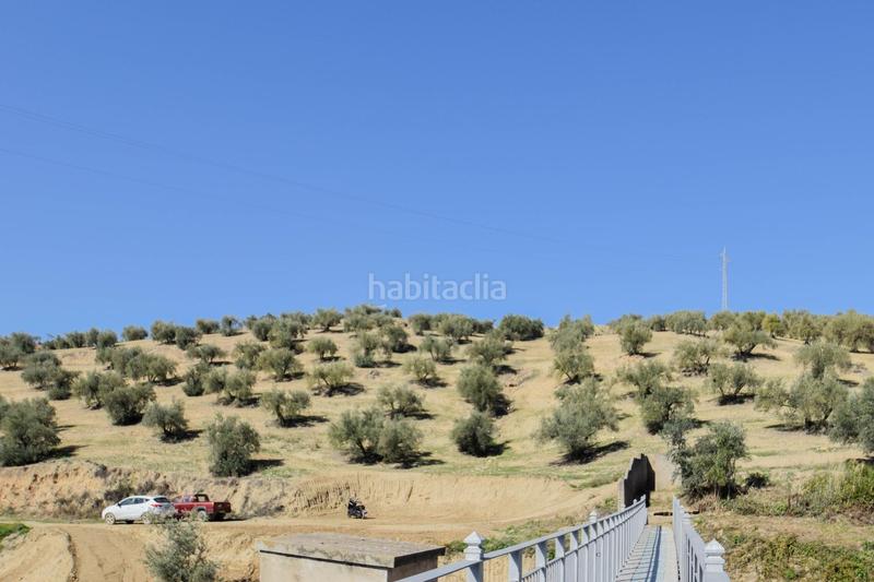 Foto 0f18e4c4-6031-4dd3-83bf-c0a407ab2300. Finca rústica a plaza luz 2 a La Paz Granada