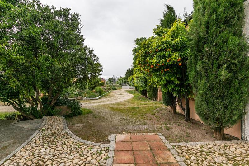 Foto 7c9aa3da-3645-41b0-b860-61fb1e7c443c. Chalet en calle puente virgen 2 se vende cortijo zona alitaje en Pinos Puente