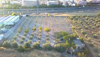 Finca rústica a Güéjar Sierra. ¡inversores ! se vende terreno rústico crta.ronda sur!