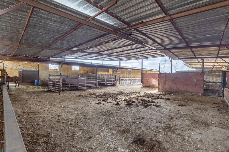 Foto 3d5eed58-8595-4ec4-b7e4-d09e2fdb1464. Chalet en camino de la zubia 20 se vende fantástica villa con infinidad de posibilidades - ref. villazubia en Granada