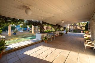 Local Comercial en Camino de Purchil 200