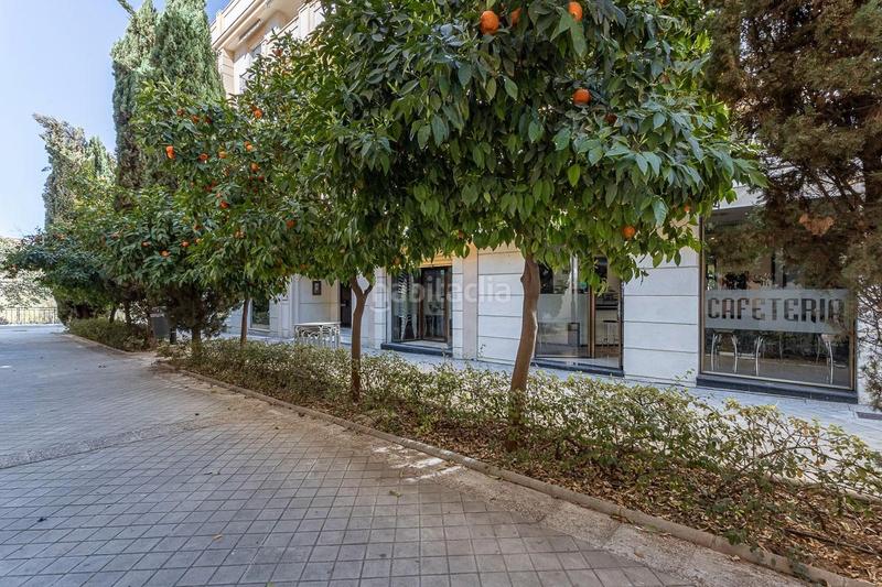 Foto e35d0a60-94b9-40f1-a7fe-fe6220a03053. Business premise in calle rector lópez argüeta 23 in Granada