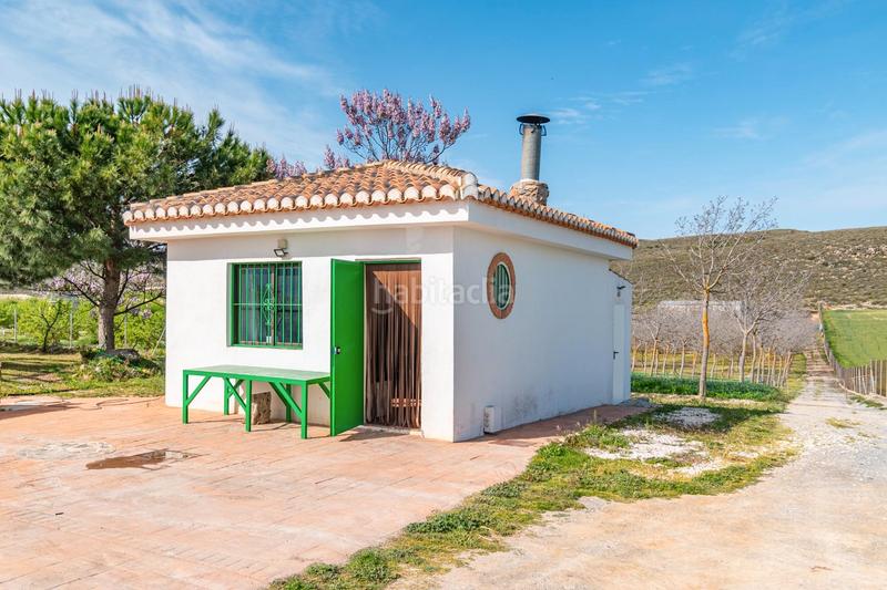 Foto 06a166b9-2db4-45e9-9302-4db812c9f763. Finca rústica a calle real 134 a Padul