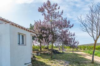 Finca rústica a Calle real 134. Se vende finca rustica en padul con casa,nave y piscina_granada