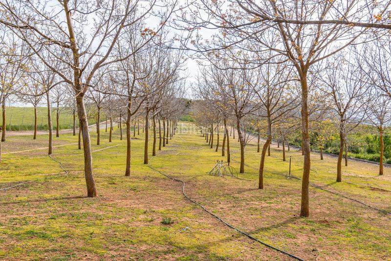 Foto 3342ee0f-107a-4f6b-9b34-3fd76d3becd6. Finca rústica a calle real 134 a Padul