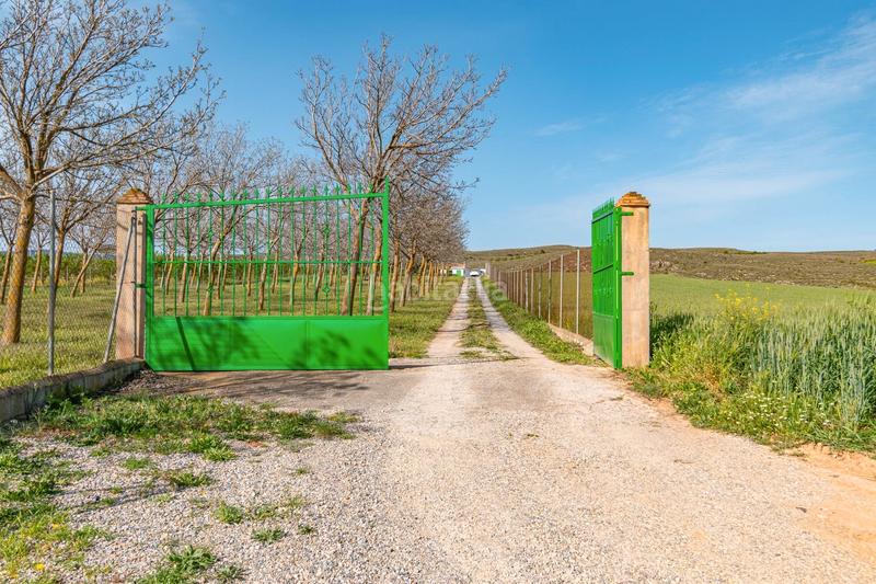 Foto 336e0bee-4c2c-42fb-bb54-133d3a3059b7. Finca rústica a calle real 134 a Padul