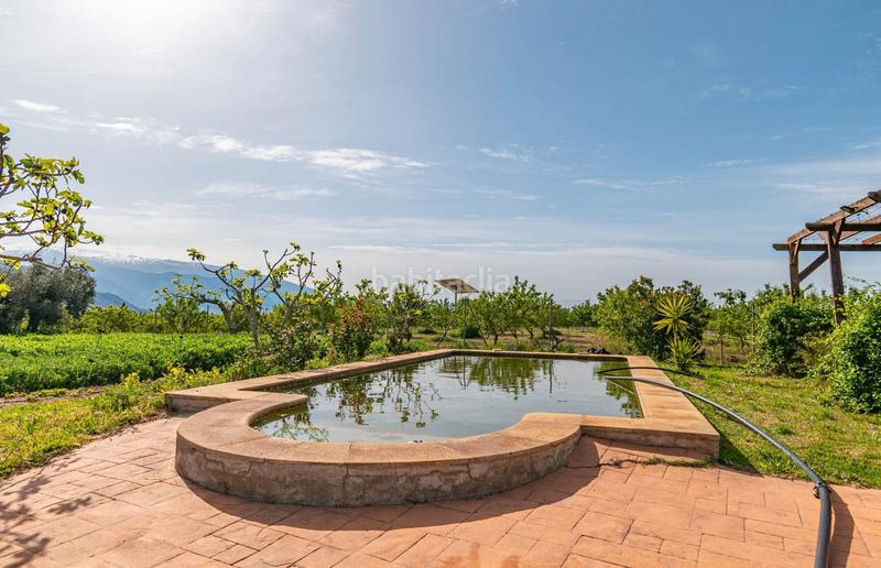 Foto 3ca432b4-95cc-4c92-a362-9e8b3c8319b9. Finca rústica a calle real 134 a Padul