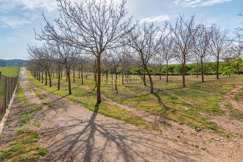 Foto 3d0ee028-9fda-4614-b8c5-8edd21c7186b. Finca rústica a calle real 134 a Padul