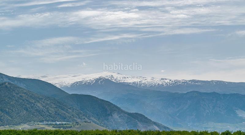 Foto 4394476e-b02c-4607-a295-659bf6664685. Finca rústica a calle real 134 a Padul