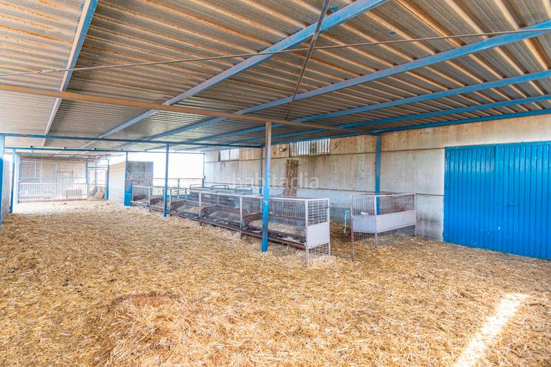 Foto 4e006870-85c4-430c-a344-4767338001f1. Finca rústica a calle real 134 a Padul