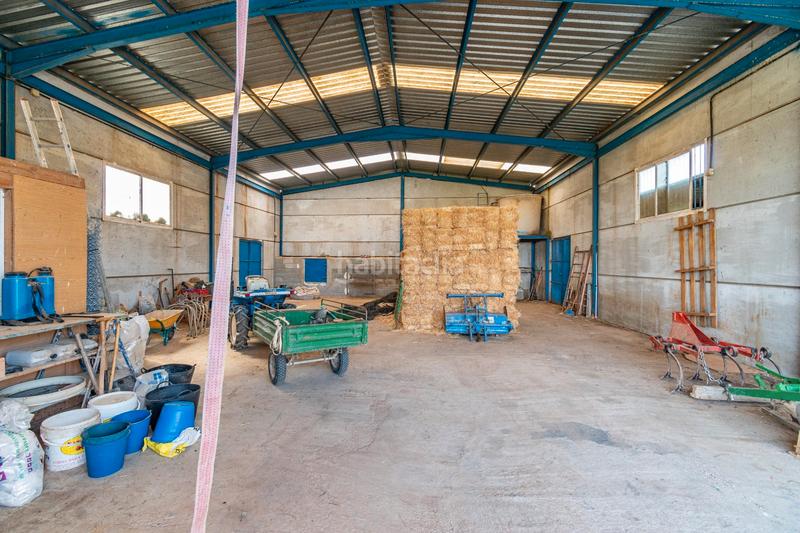 Foto 515c57f3-40ab-4a3d-8e71-ab442c94997d. Finca rústica a calle real 134 a Padul