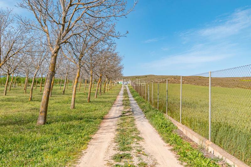 Foto 51d0c96c-d535-4e49-a1e9-35a4a7959573. Finca rústica a calle real 134 a Padul