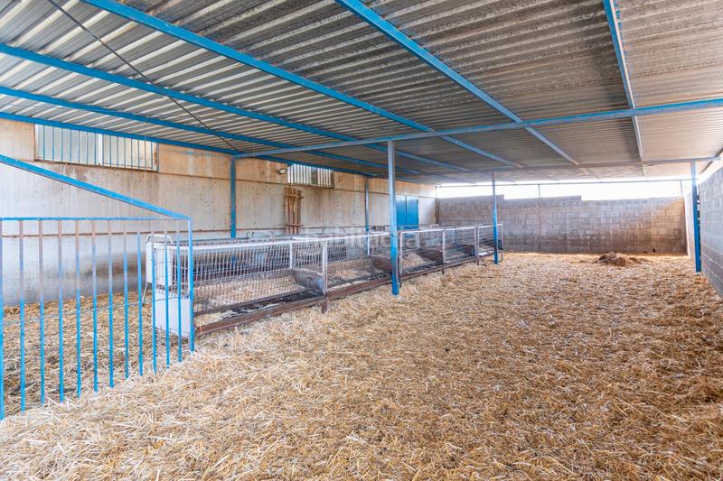 Foto 6972ae26-ee87-4b88-a43d-a28b07f1a37d. Finca rústica a calle real 134 a Padul